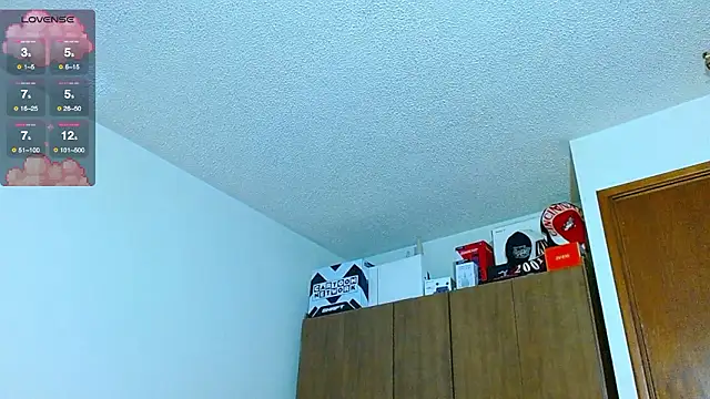 Hgp3riodictabl3 webcam