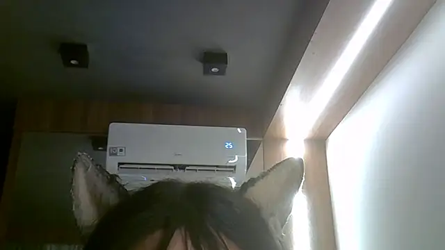 SkinnyKitten webcam