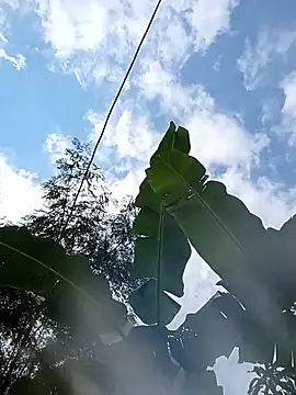 Hot_Veteran_1 webcam