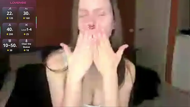 SanoraVillnave webcam