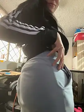 SALOME_KORLAND webcam