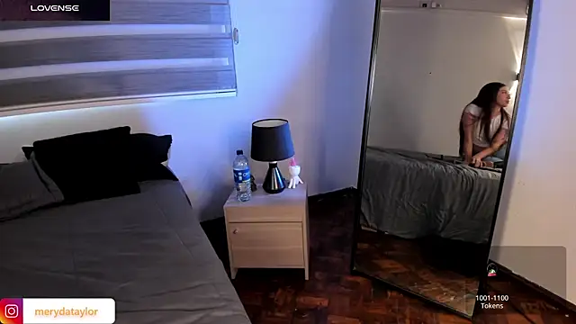 MERIDA_TAYLOR webcam