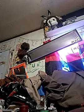 In2itvegassstyle webcam