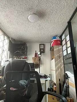 SALOME_KORLAND webcam