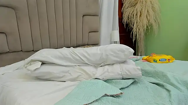 isa_lancaster webcam