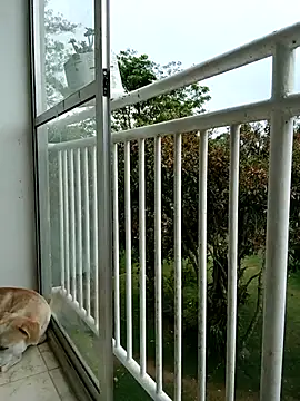 LEIRIS_Y_FRED_01 webcam