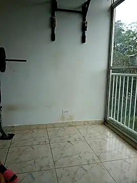 LEIRIS_Y_FRED_01 webcam