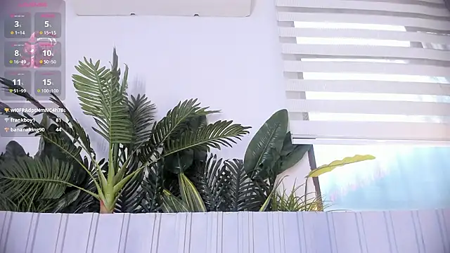 stephanymonroe webcam