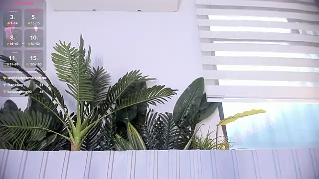 stephanymonroe webcam