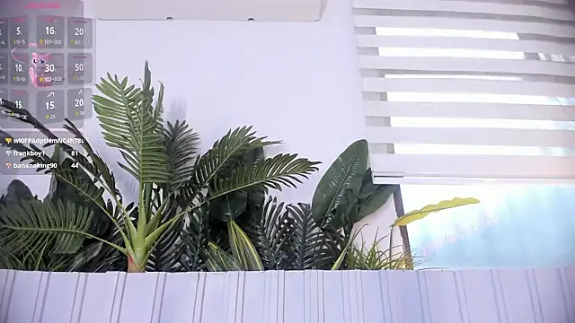 stephanymonroe webcam