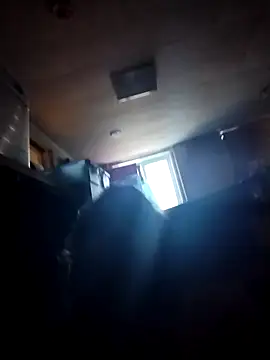 AceticPinscher webcam