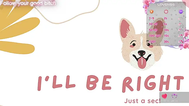 Afbeelding van noah420sr