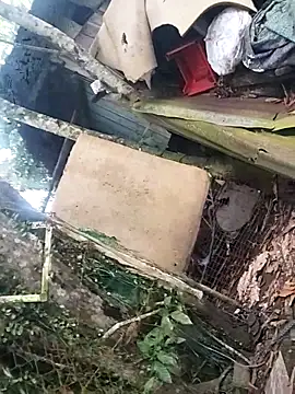 axel69consentido webcam