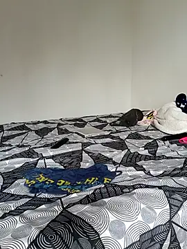 LEIRIS_Y_FRED_01 webcam