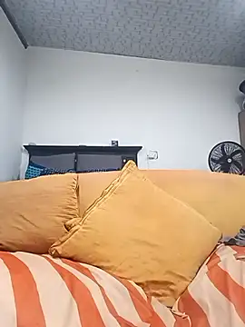 Winterslender webcam