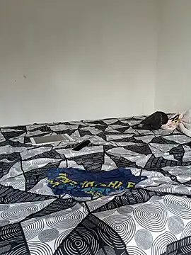 LEIRIS_Y_FRED_01 webcam