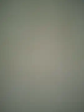 ScarletVelvetX webcam