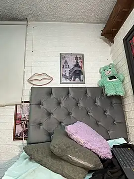 SALOME_KORLAND webcam