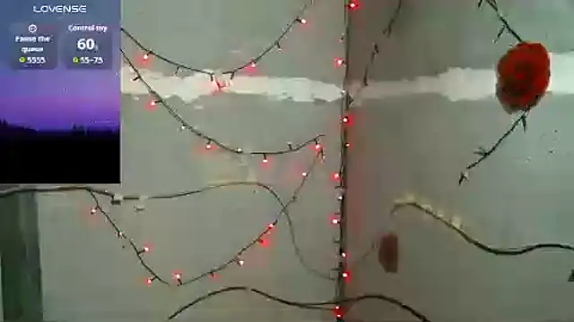 catalina_colombia webcam