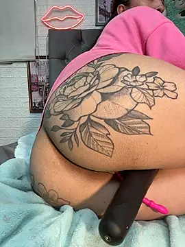 SALOME_KORLAND webcam