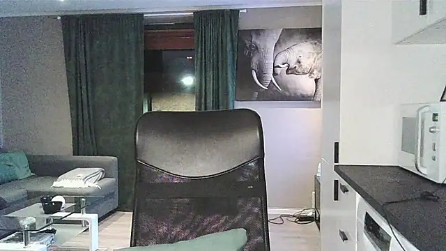 Dartanjanas13 webcam