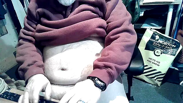 Oldmanphlwiss webcam