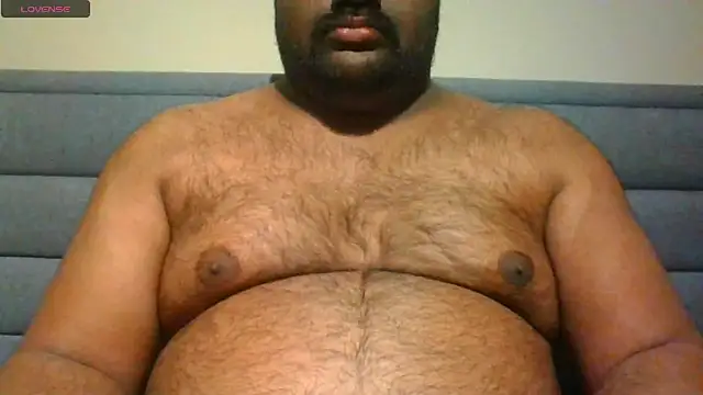 indianbearbot webcam