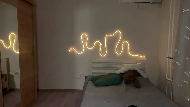 MyraLitterers webcam