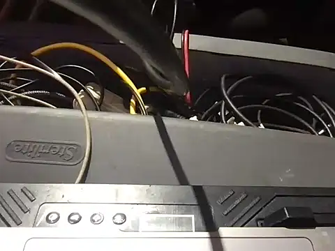 SinlessFreedom7 webcam