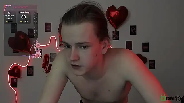 leo_void webcam