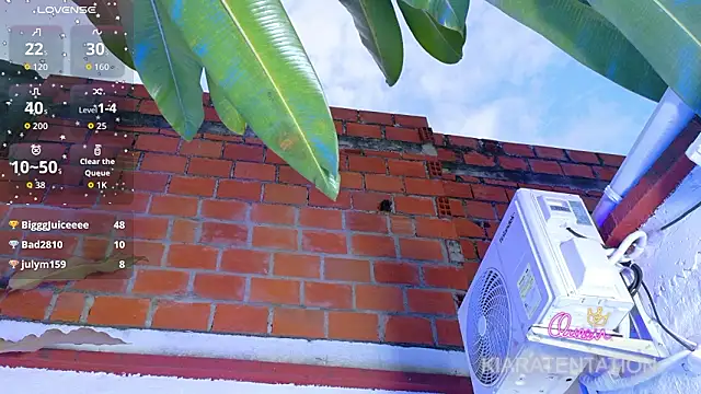 kiaratentation webcam