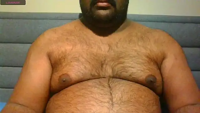 indianbearbot webcam