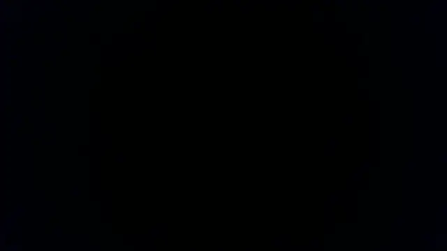 turkishTransEfsun webcam