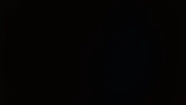 the_magnificent8 webcam