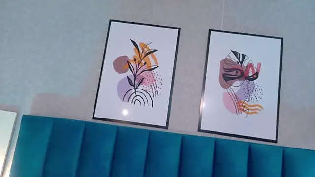 Madisonsmiith webcam