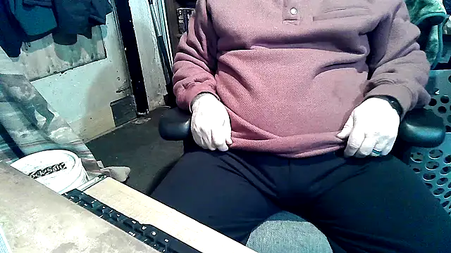 Oldmanphlwiss webcam