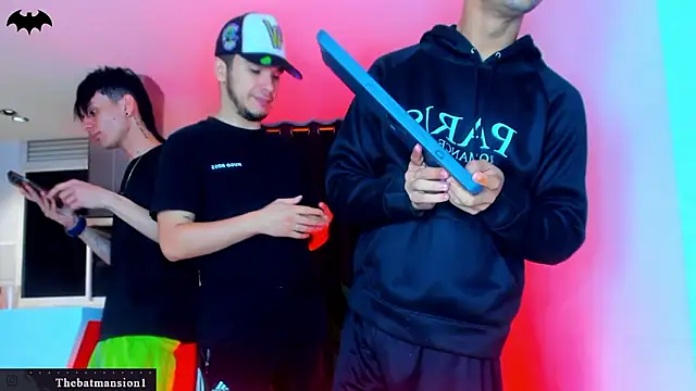 TheBatMansion webcam