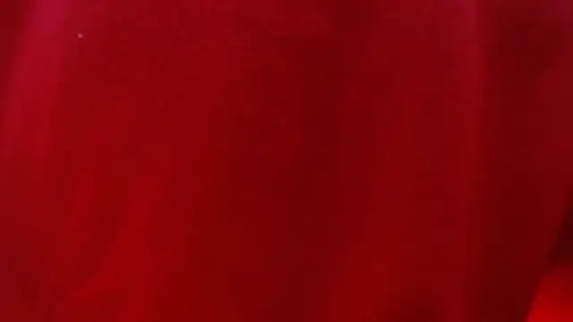 Madison_Copers webcam