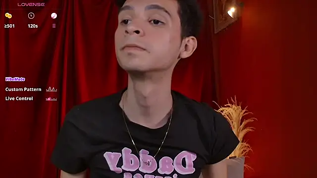 VicenteFerrer webcam