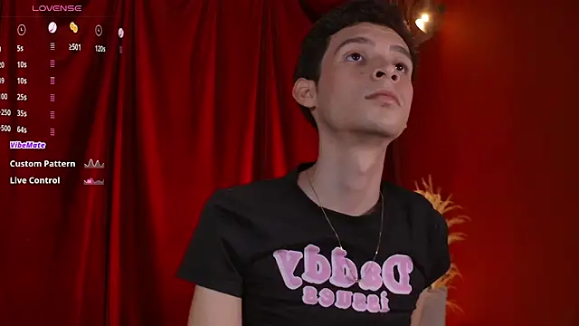 VicenteFerrer webcam