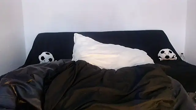 Steilormuller66 webcam