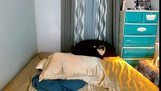 SweetLilly_18 webcam