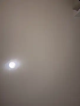 MichelleFerry_ webcam