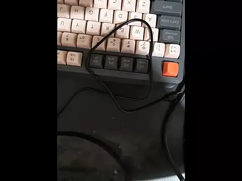 GordoChancludoSLP webcam