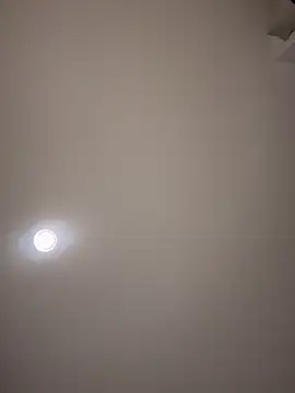 MichelleFerry_ webcam