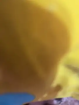 Horny__daddy0 webcam