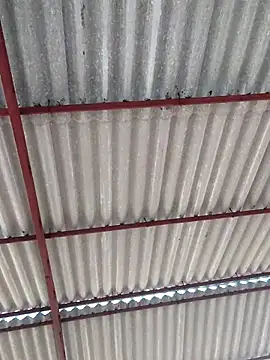 Muskan-singh34 webcam