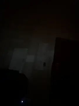 LontraAndBear webcam