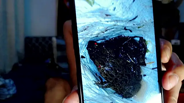 UrAsian_Playboy69 webcam