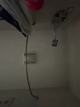 curis4270panda webcam